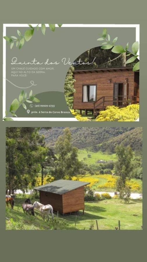 הוילה אורוביסי Quinta Dos Ventos Chale מראה חיצוני תמונה
